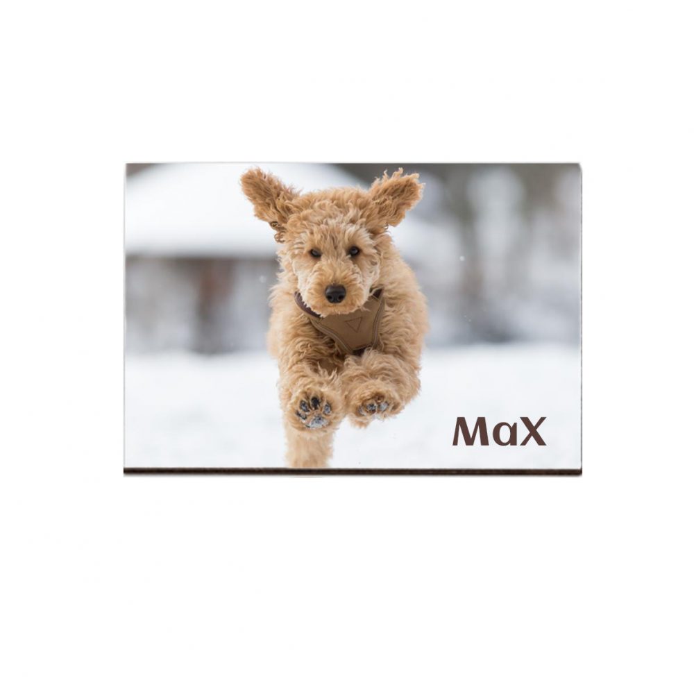 Print on fridge magnet (MDF) 7X9cm.