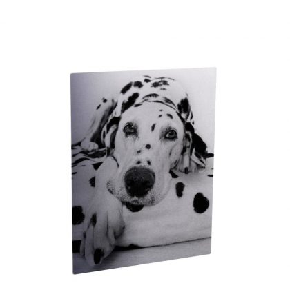 PHOTO ALBUM -ALUMINUM 0.22(SILVER gloss)20x30