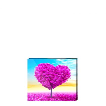 ALUMINUM - PHOTO FRAME (WH.GLOSS) 25x30cm