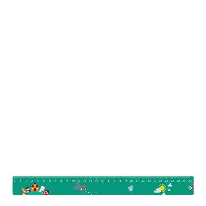 PLASTIC RULER 30cm (31.0x3.2 cm)