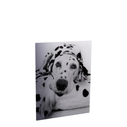 PHOTO ALBUM -ALUMINUM 0.22(SILVER gloss)15x20