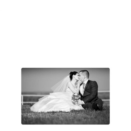 METAL PHOTO PANEL- GLOSS SILVER - 20.32x30.48