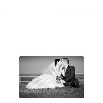 METAL PHOTO PANEL- GLOSS SILVER - 20.32x25.4